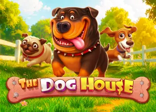 nova888 The Dog House ทดลองเล่นฟรี